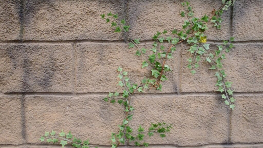 Shrek The Musical Tower 01